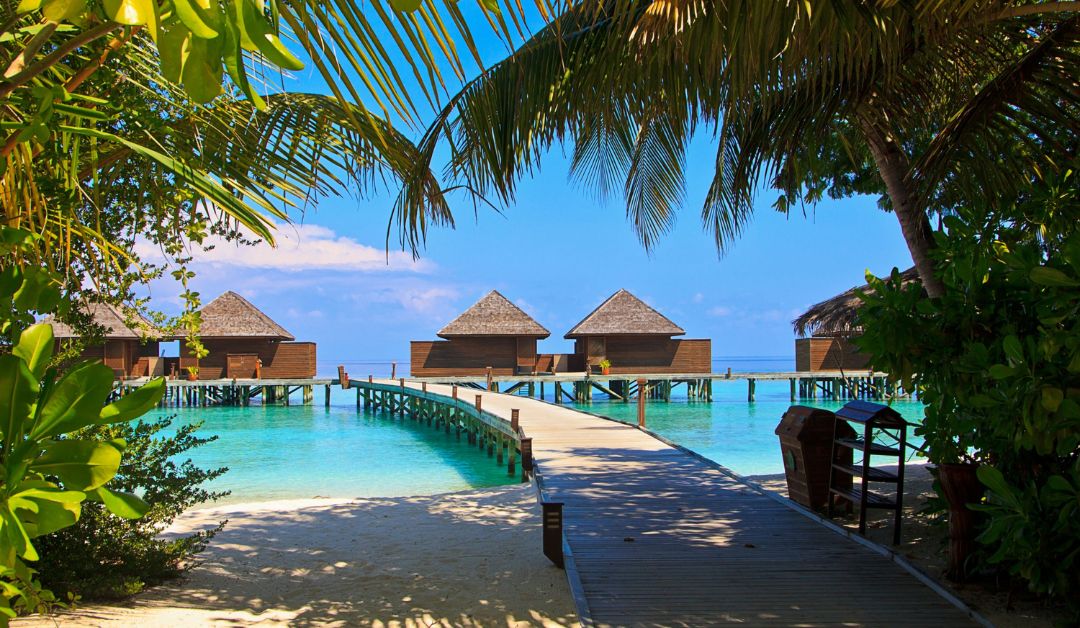 How Much Does a Whole Maldives Trip Cost in 2024
