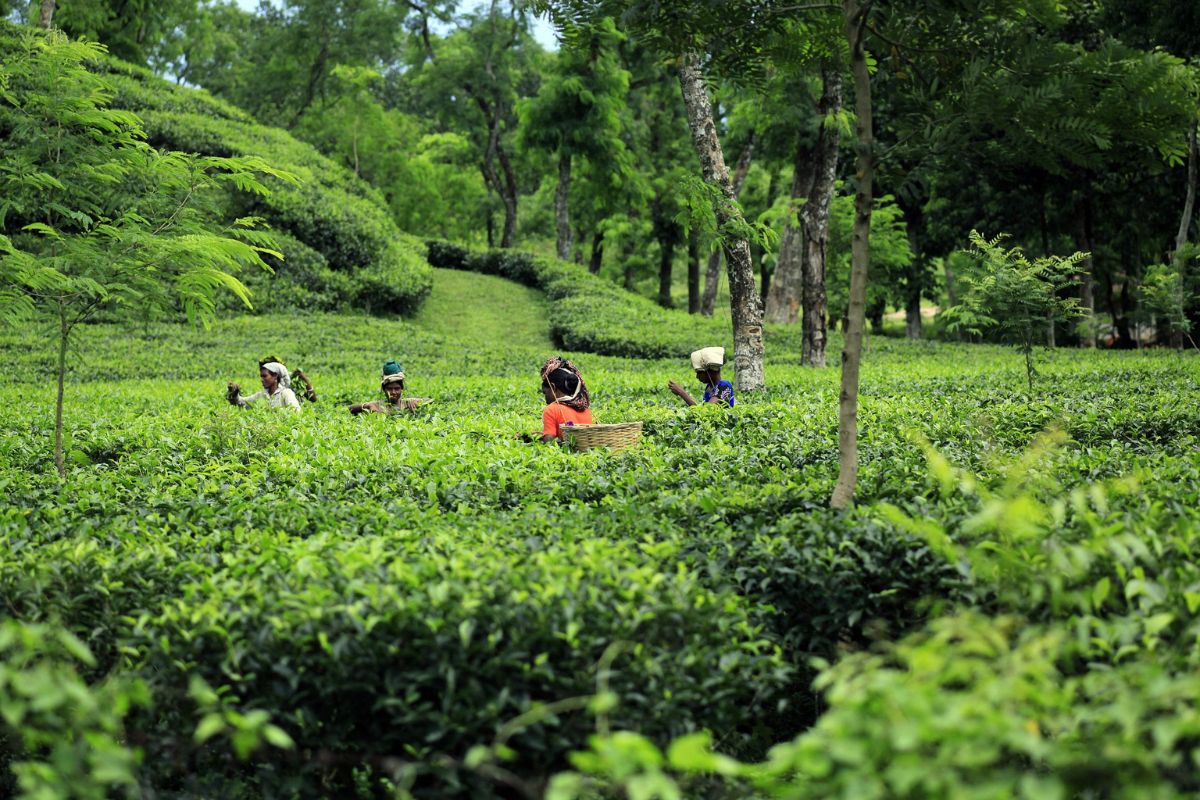 Beautiful Places in Bangladesh